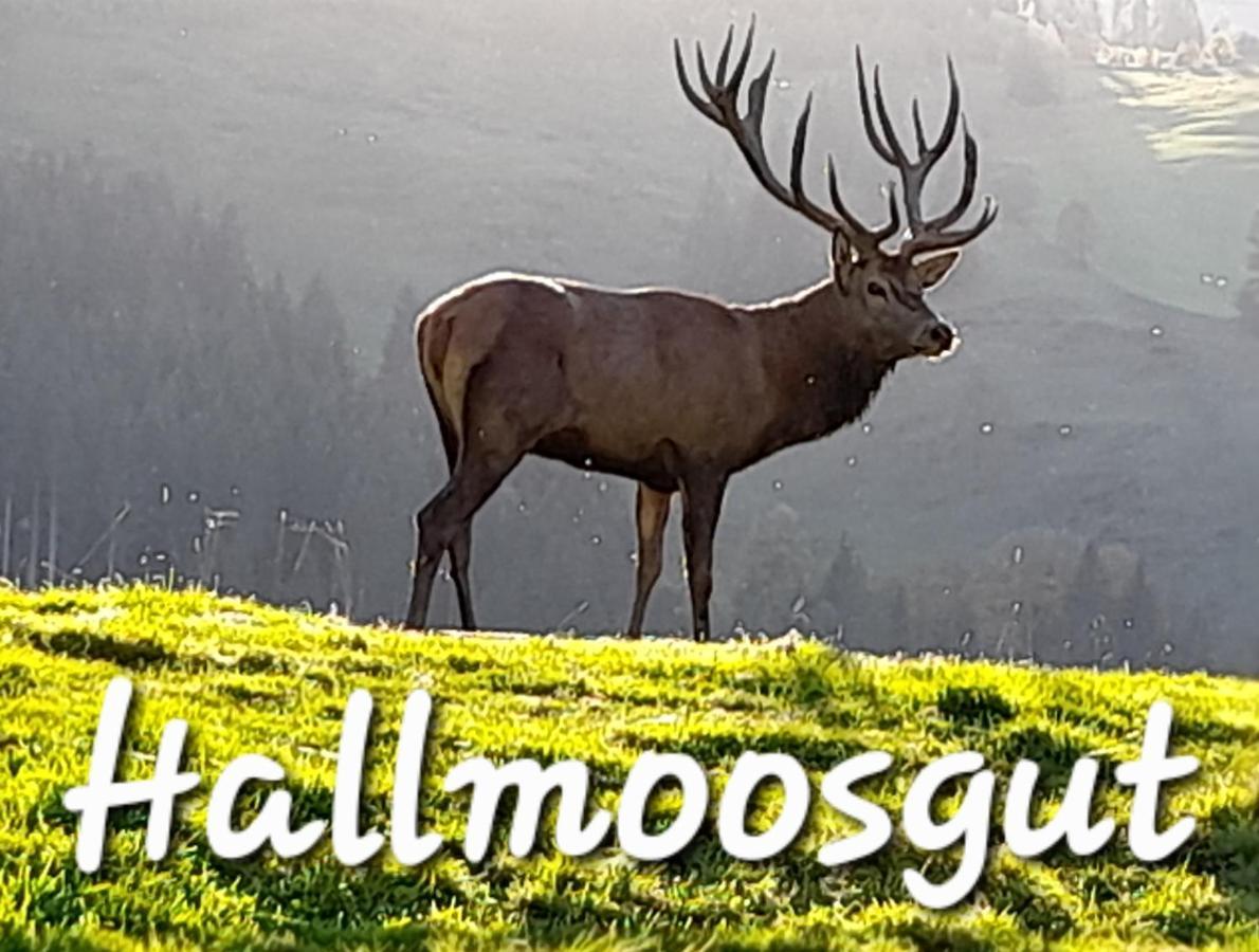 Hallmoosgut Sankt Johann im Pongau Eksteriør billede