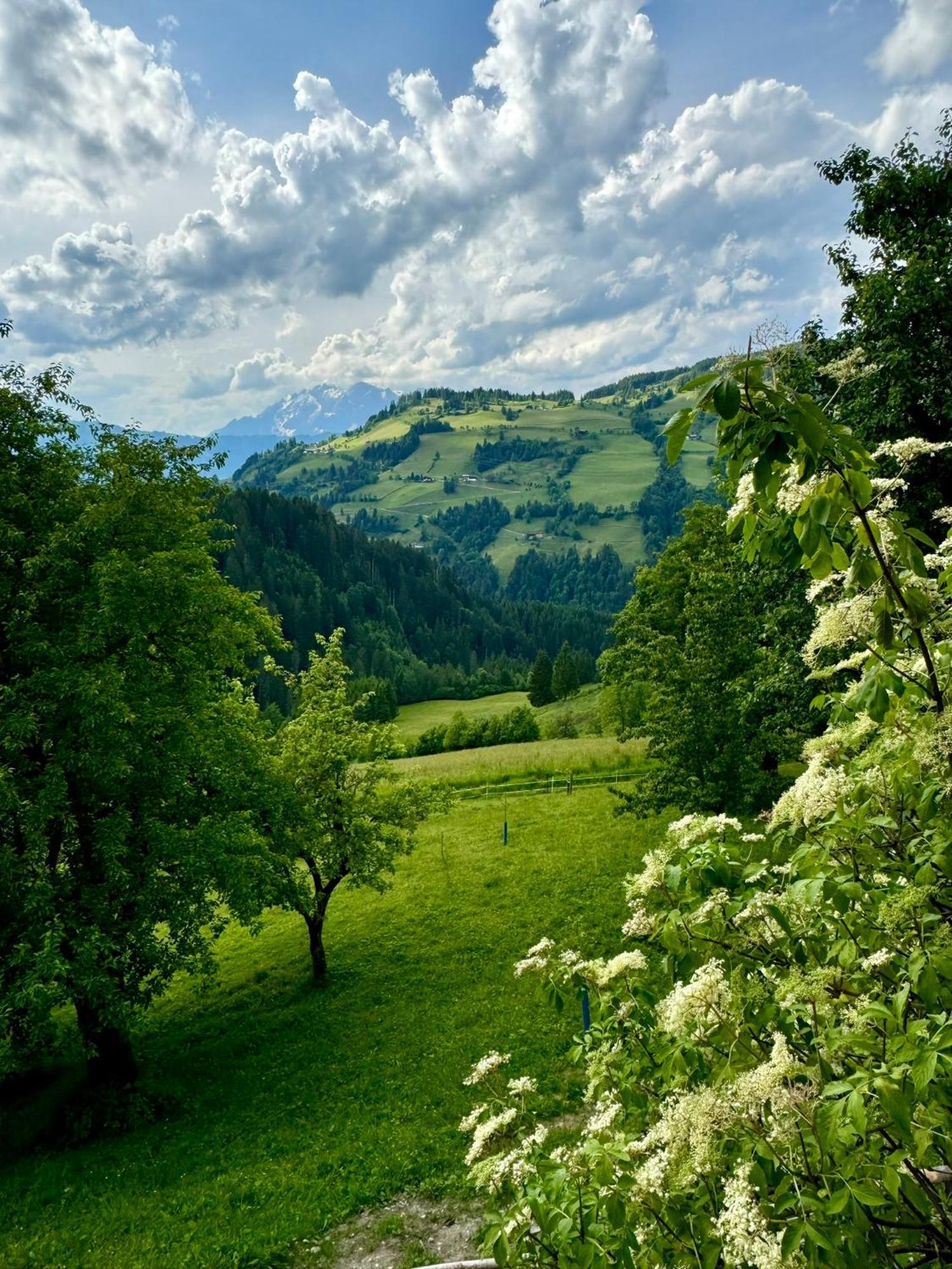 Hallmoosgut Sankt Johann im Pongau Eksteriør billede